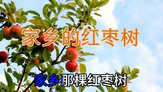 任妙音原唱歌曲《家乡的红枣树》,声音甜美,勾起浓浓的思乡之情