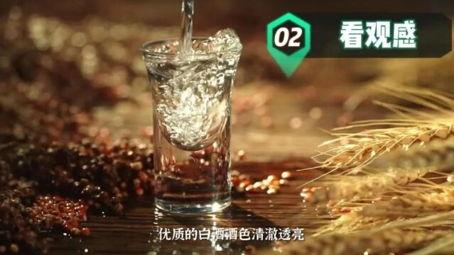 选购白酒有窍门,一个视频简单学!