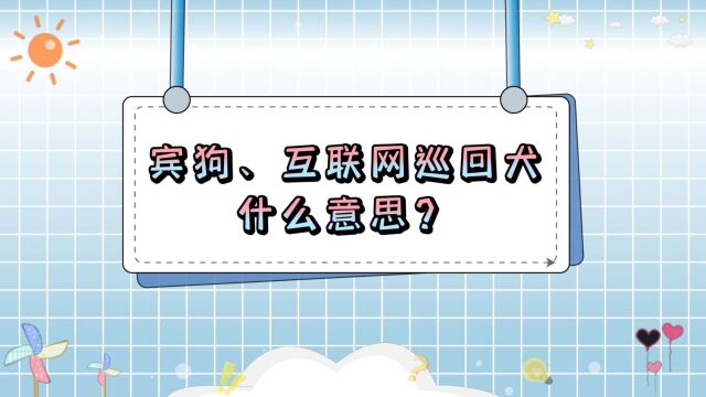 盘点近期网络热梗:宾狗、互联网巡回犬