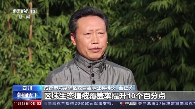 大熊猫国家保护研究中心揭牌,如何更好守护“国宝”?