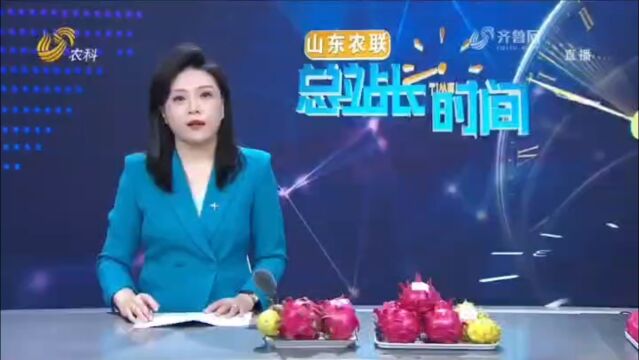 山东农联《总站长时间》屈伟伟——执着火龙果 铺就致富路