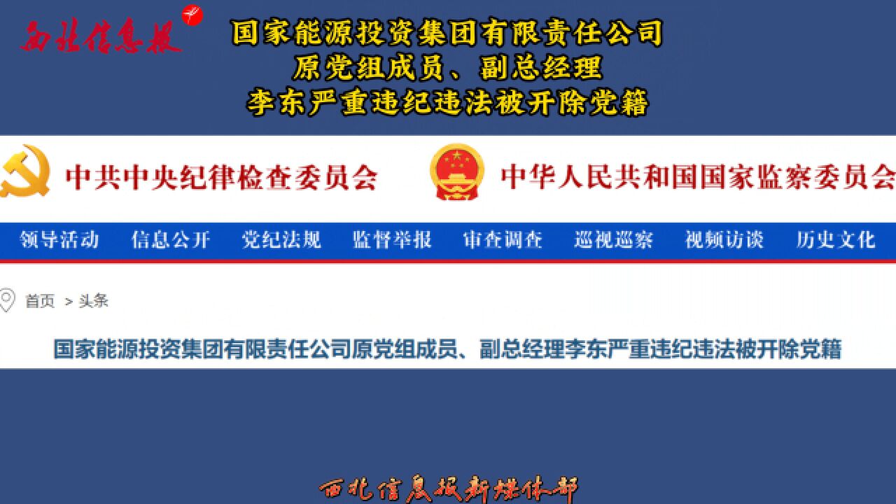 国家能源投资集团有限责任公司原党组成员、副总经理李东严重违纪违法被开除党籍