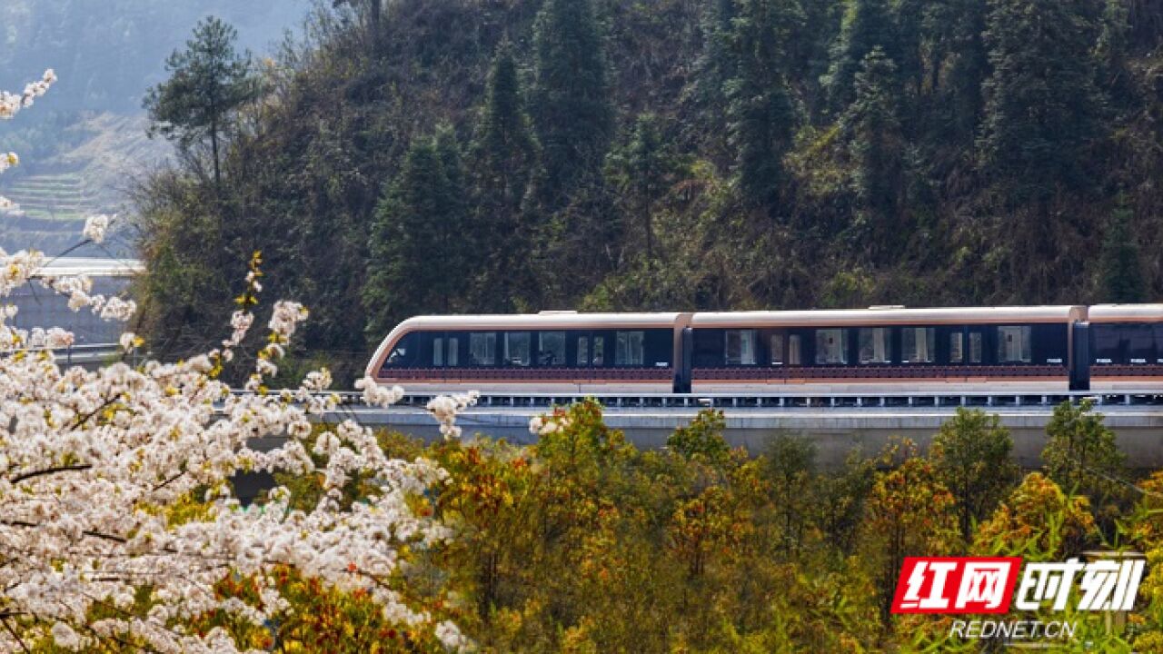 “云端”看凤凰 磁浮观光快线安全运营一周年