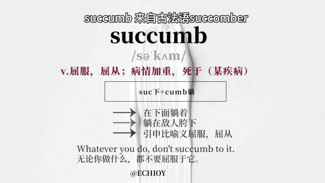 边走边听英语单词succumb