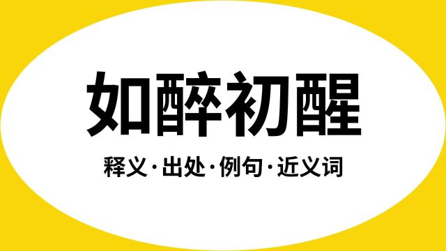 “如醉初醒”是什么意思?