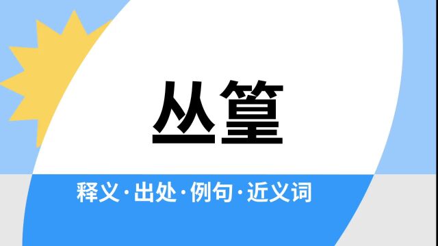 “丛篁”是什么意思?