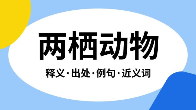 “两栖动物”是什么意思?