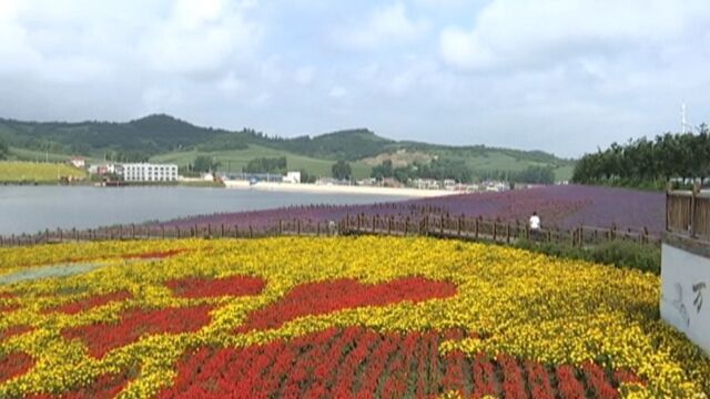 双阳区政协基层协商平台建设推进会在太平镇小石村召开