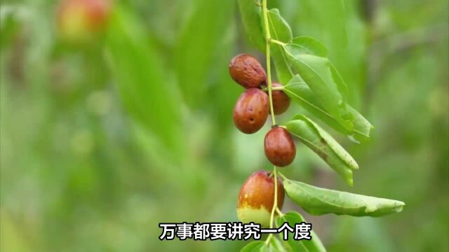 枣树栽在院子里哪个位置好?揭秘院子里的“风水学”