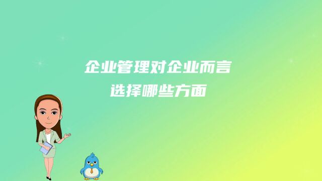 企业管理对企业而言选择哪些方面