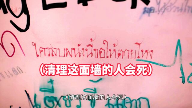 一面墙竟可以掌控人的生死,当大家都知道这个秘密时,世界乱套了!