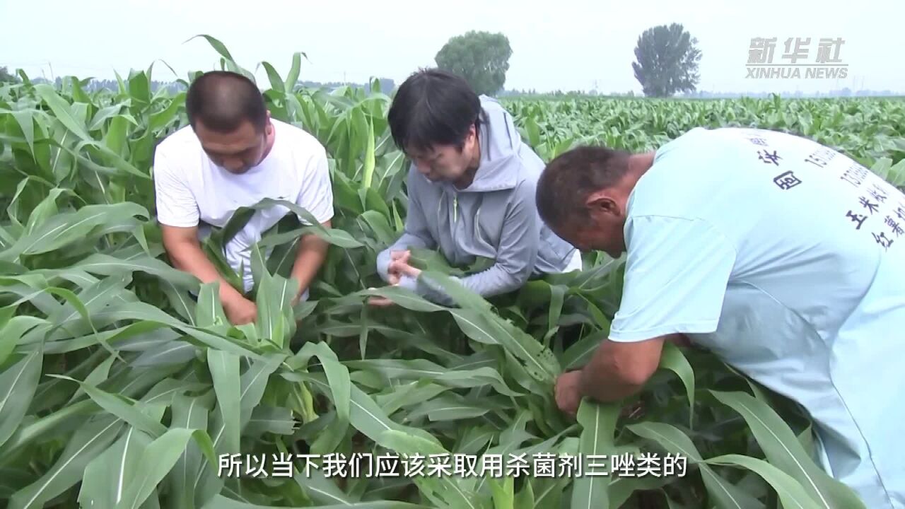 河北廊坊:加快恢复生产 降低灾害损失