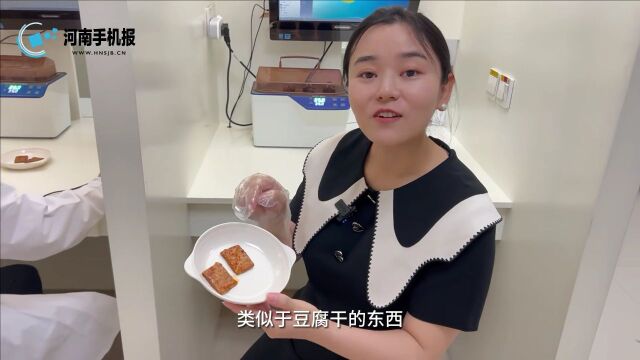 走进河南高校实验室之河南工业大学小麦和玉米深加工国家工程研究中心