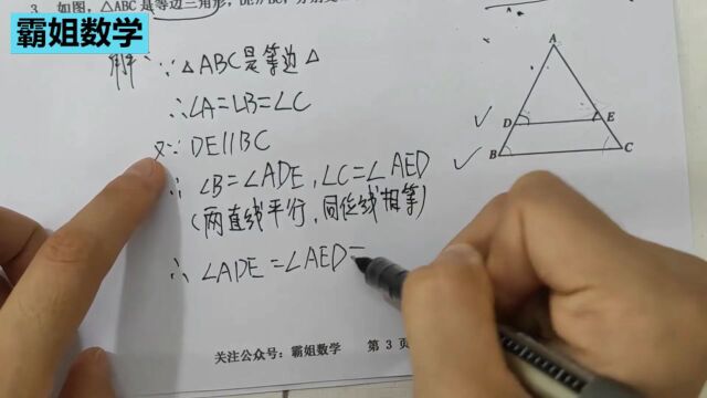 第九讲|人教版八上数学《等边三角形》基础同步课程