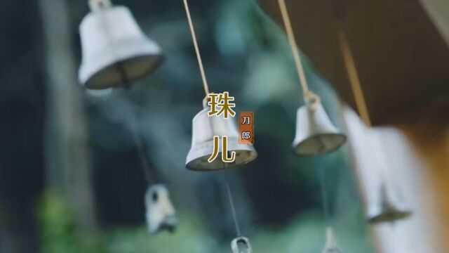 MV《珠儿》刀郎