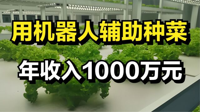 男子打造一个神奇的蔬菜工厂,用机器人辅助种菜,年收入1000万元