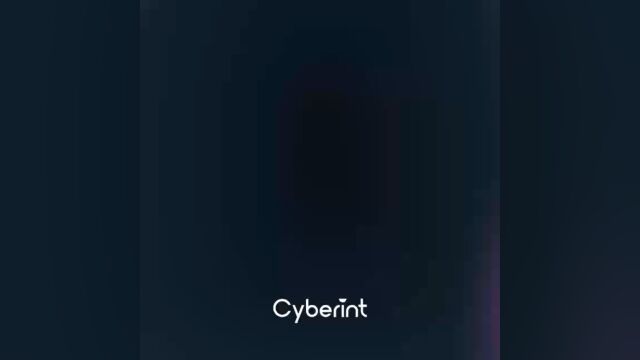 cyberint 简介