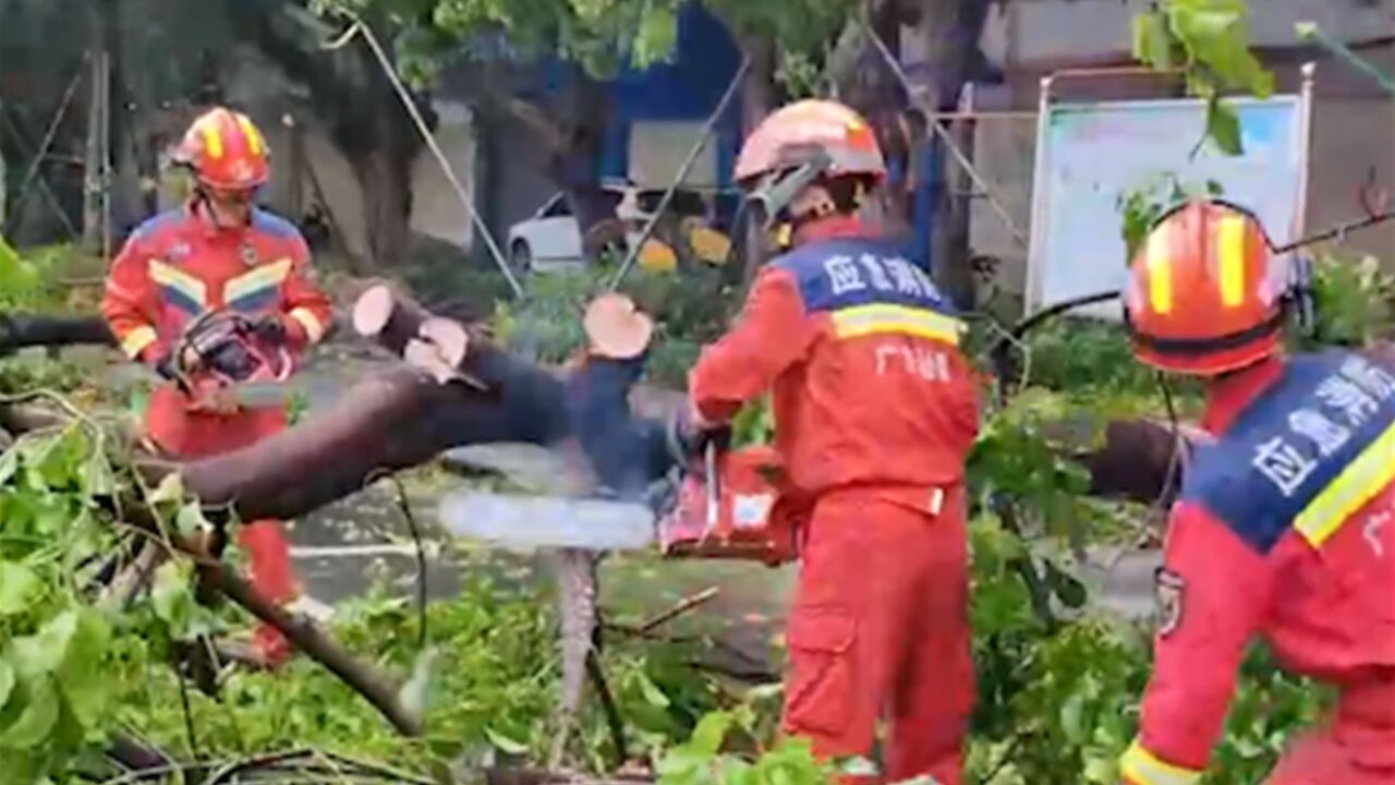 广东汕尾:强降雨致部分道路积水,树木倒伏