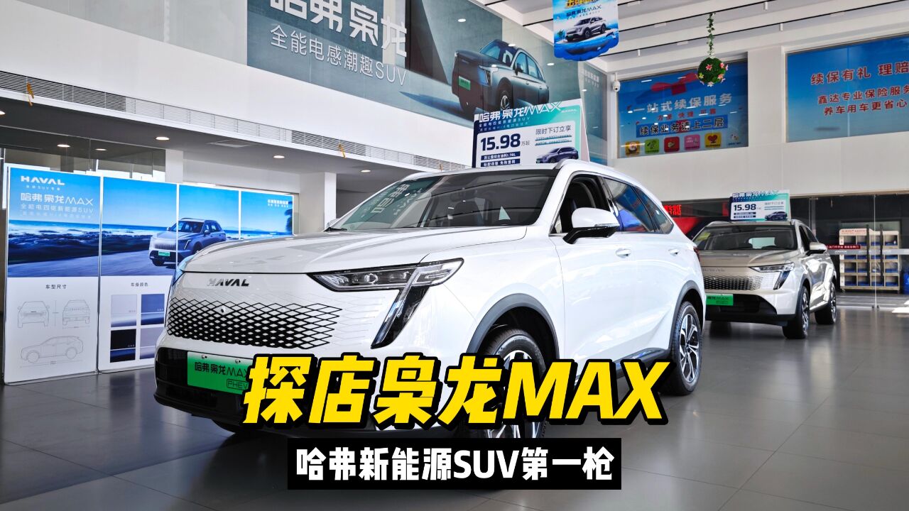 探店哈弗枭龙MAX,长城汽车新能源的第一枪