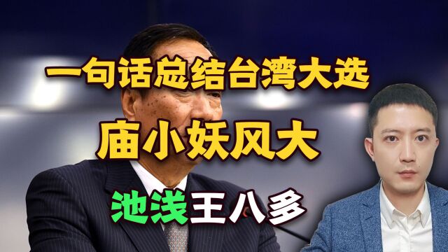 一句话总结台湾大选,庙小妖风大,池浅王八多