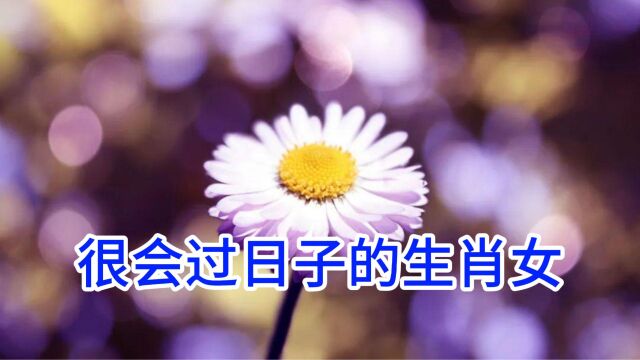 很会过日子的生肖女