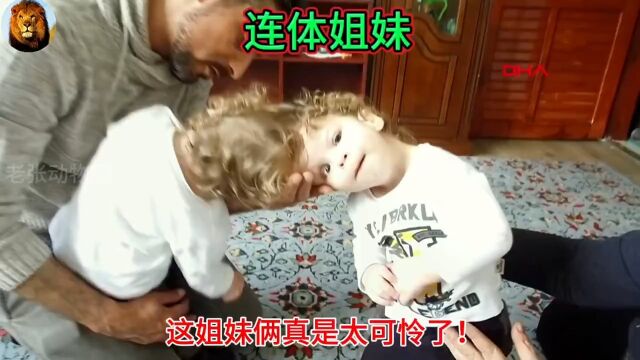 无奇不有