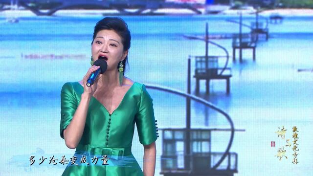 诗与歌  歌曲《回望》