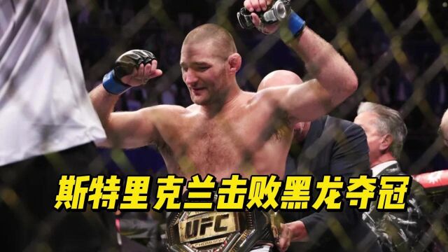 斯特里克兰击败黑龙,成为UFC中量级第14任正式冠军