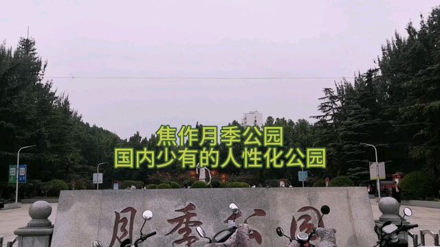 焦作月季公园,国内少有的人性化公园,围栏很低,开放,开心