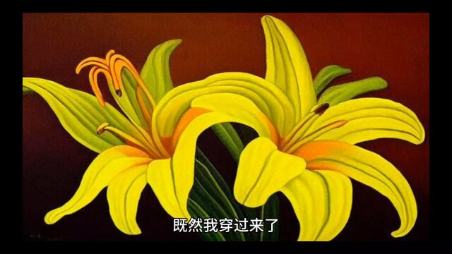 《穿越丧父,她靠医术逆袭吊打反派》柳妍妍小说全集【无删减版】