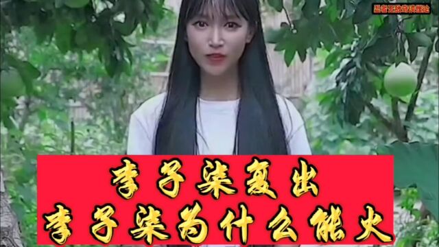 李子柒复出,李子柒为什么会火?