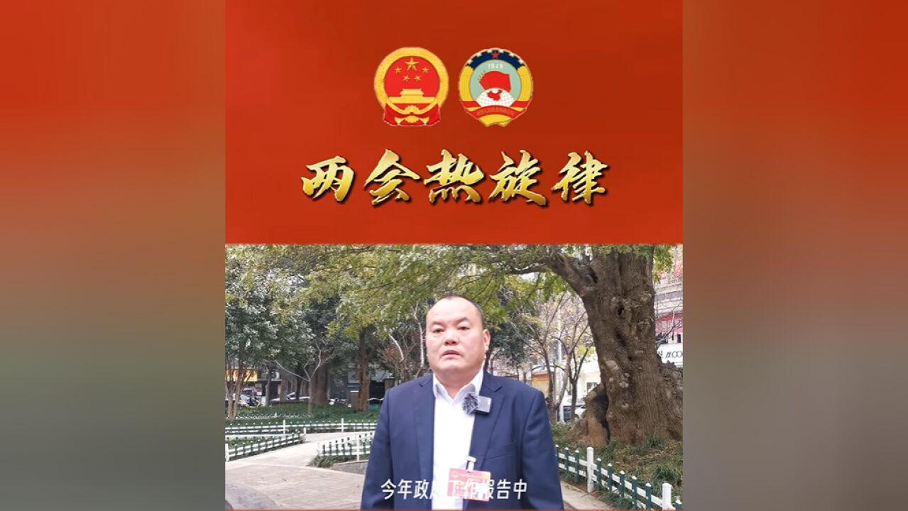 两会热旋律丨常德市人大代表曾召平:关于促进农民增收的建议