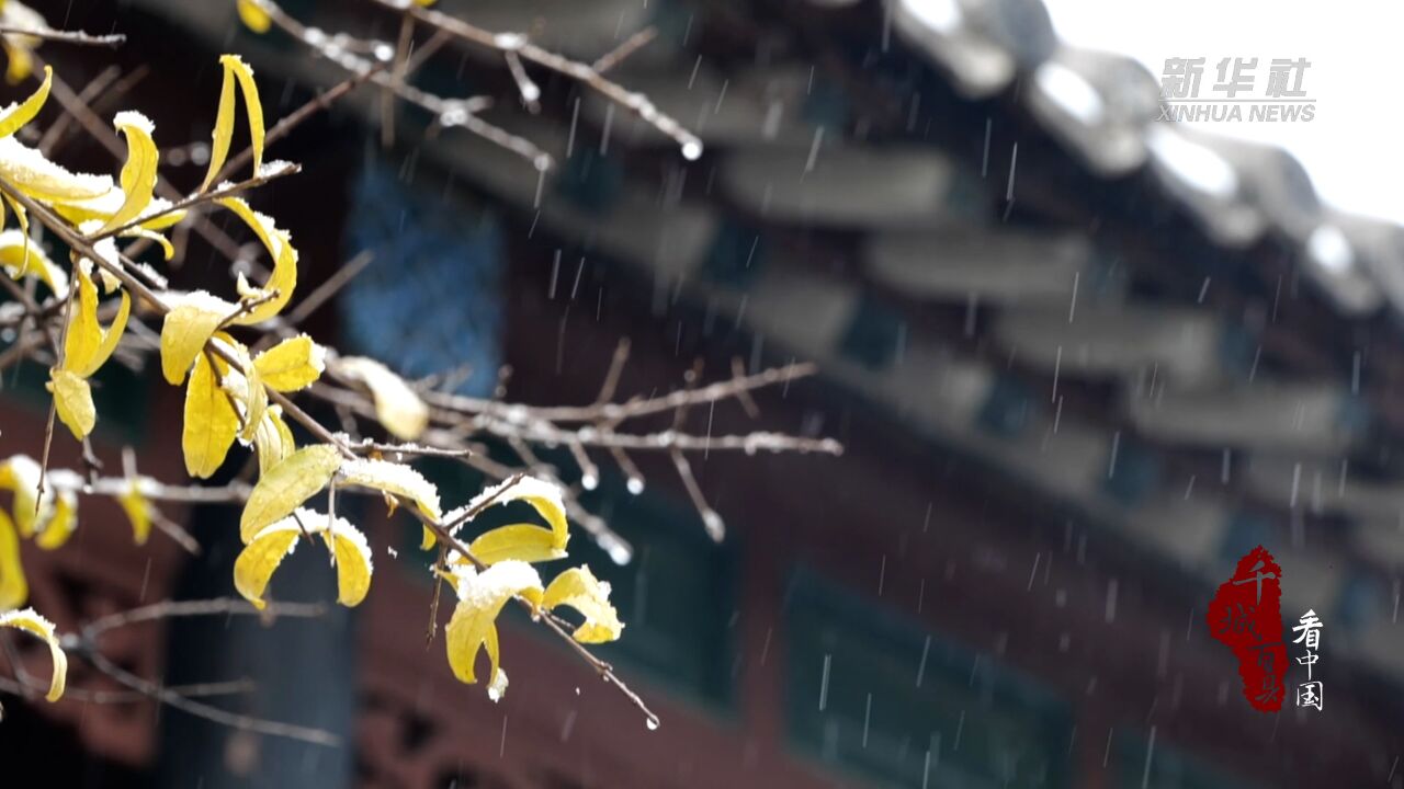 千城百县看中国|山东潍坊:藏在初雪里的浪漫