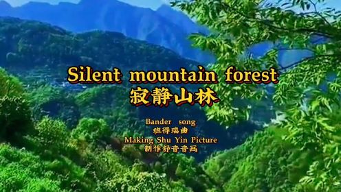 班得瑞曲《寂静山林》置身山林的听觉盛宴 静静享受天籁之音与最美大自然的融合沉醉其中