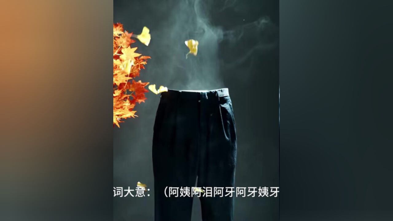 来看我们的“震贼神裤”