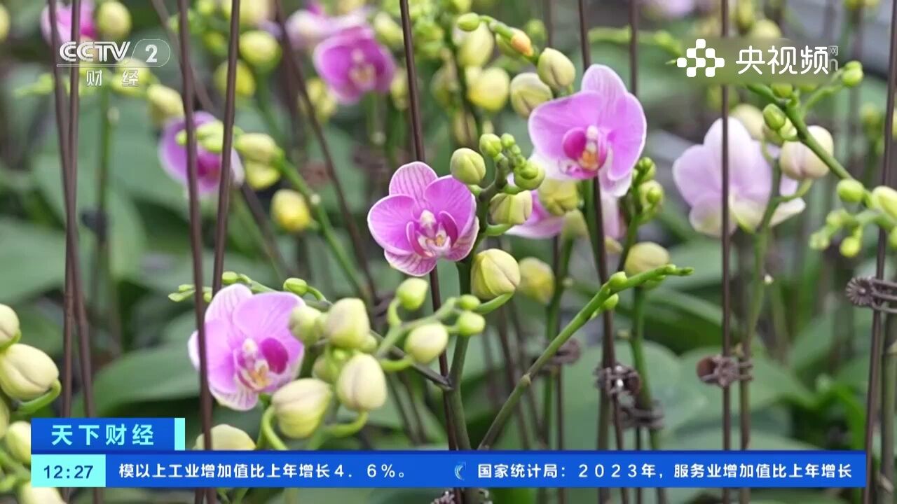 宁夏银川:“美丽经济”升温