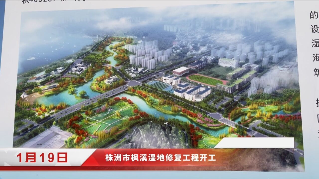 株洲市枫溪湿地修复工程开工 拟打造成海绵城市示范工程