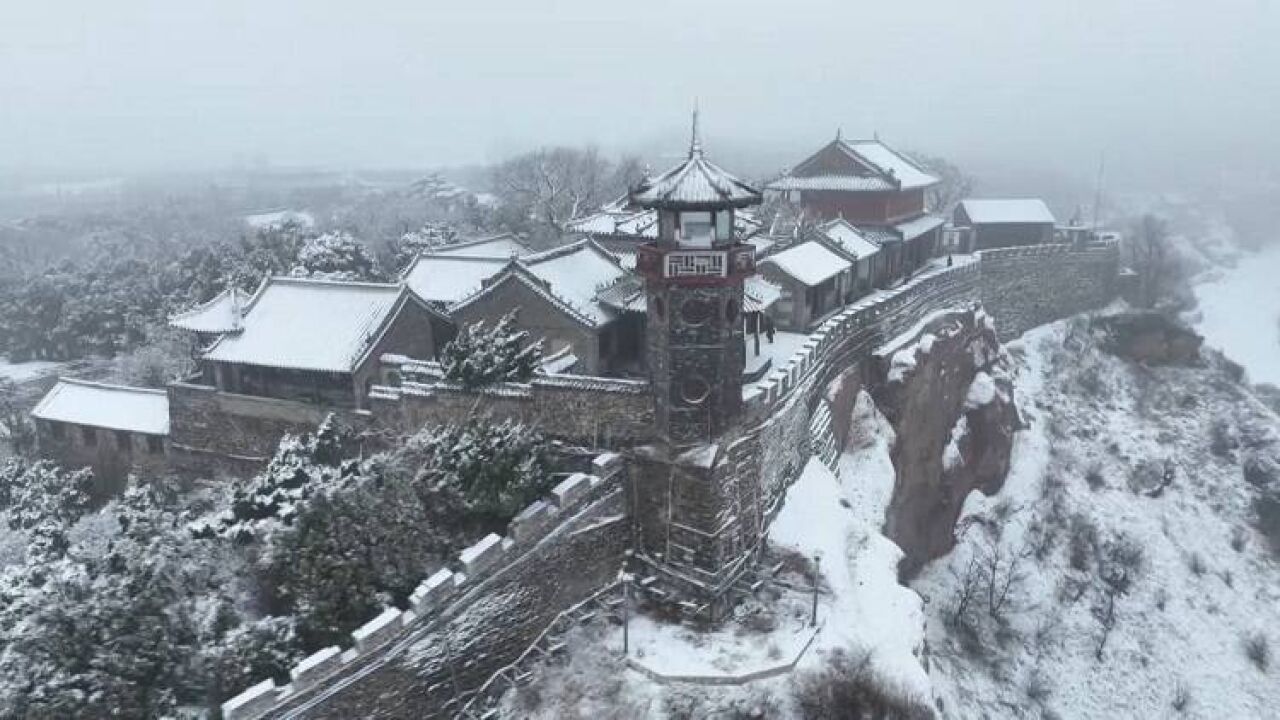 烟台市蓬莱区:落雪如画 玉树琼枝