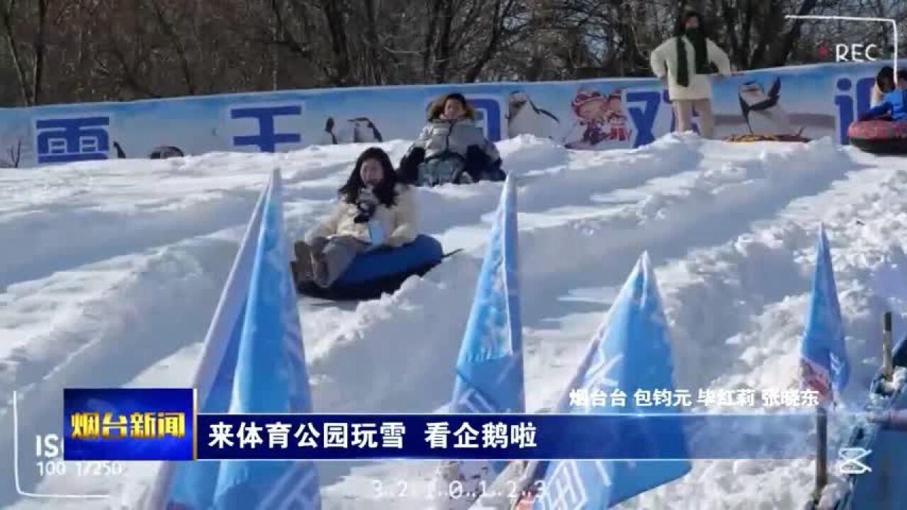 体育公园玩雪 看企鹅啦