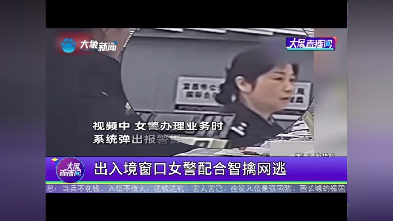 出入境窗口女警配合智擒网逃