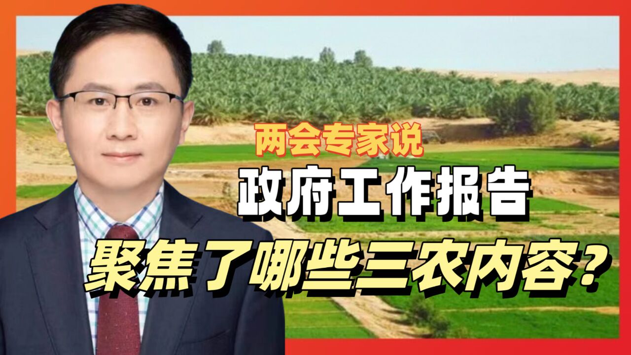 政府工作报告聚焦了哪些三农内容?李春顶:从三大方向指明路径