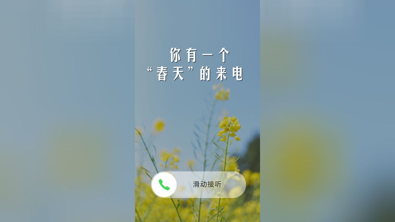 第1视点|同心