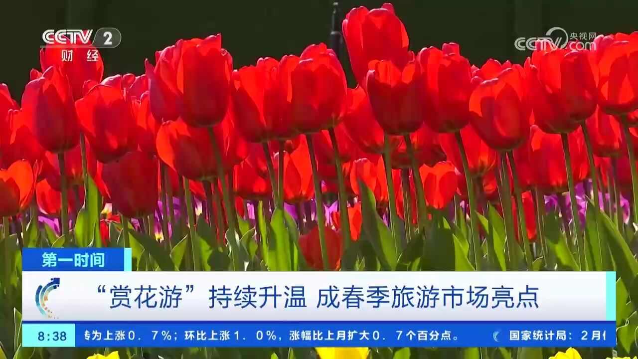 “赏花游”持续升温 成春季旅游市场亮点