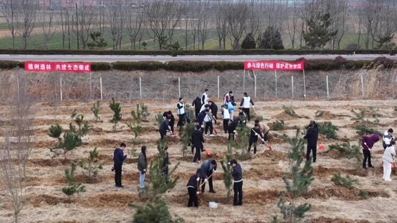 荣成:植树造林播新绿 春意盎然显生机