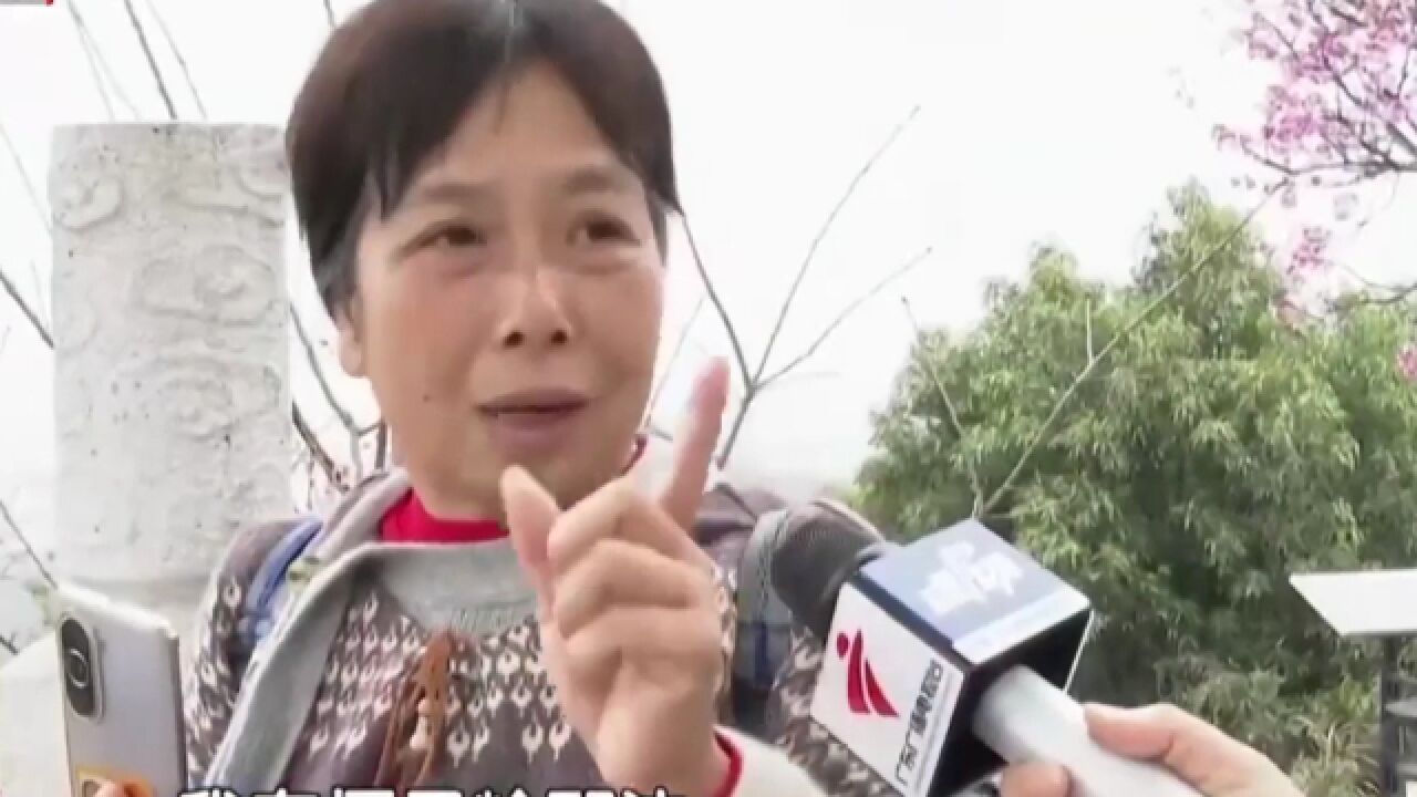 市民爬山有惊喜,偶遇呆萌“小精灵”,现场画面