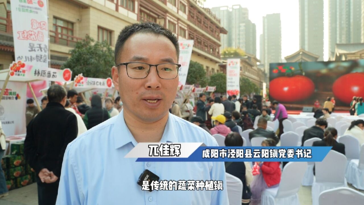 泾阳县云阳镇党委书记兀佳辉:打造西红柿全产业链 巩固农民增收基础