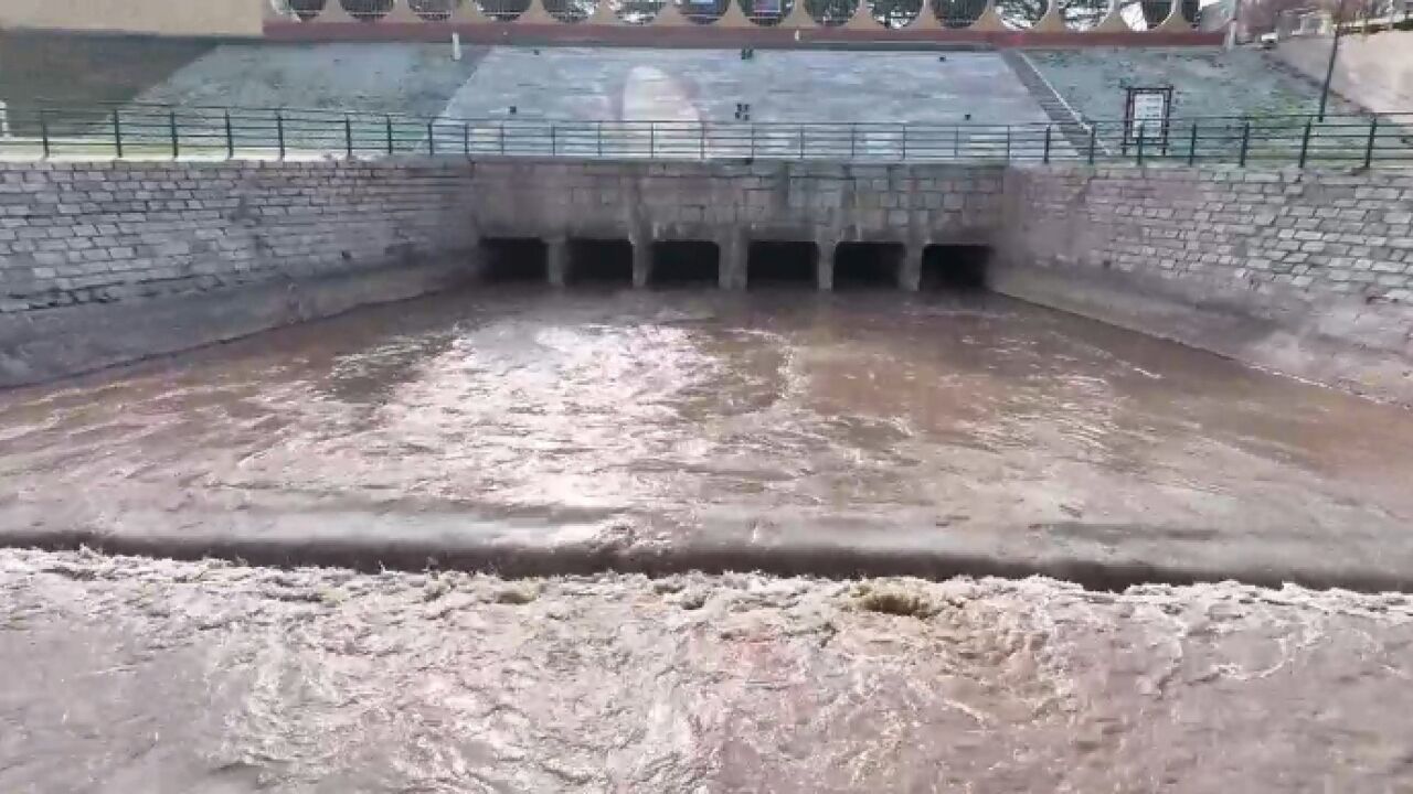 全力保障春灌 让小麦及时“喝上”黄河水