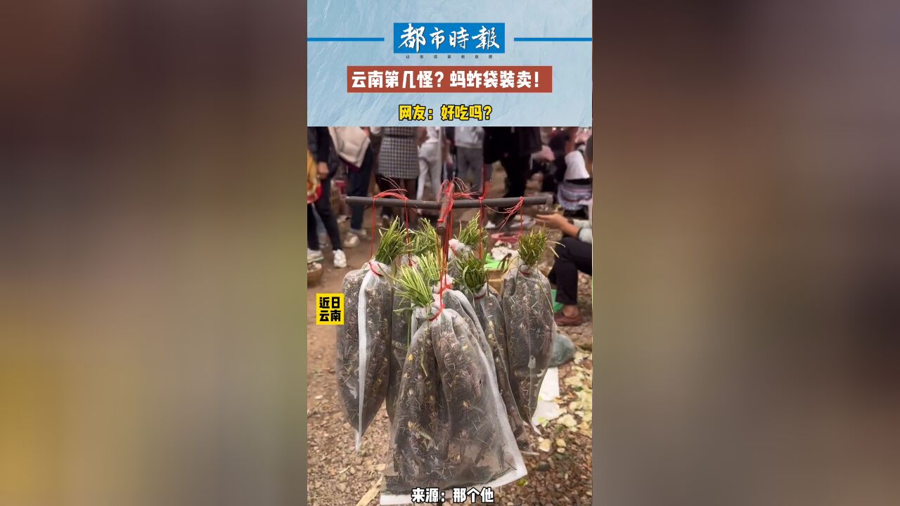 云南第几怪?蚂蚱袋装卖 网友:好吃吗?