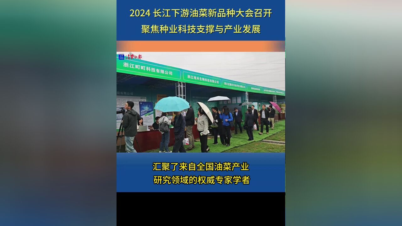 2024 长江下游油菜新品种大会召开 聚焦种业科技支撑与产业发展