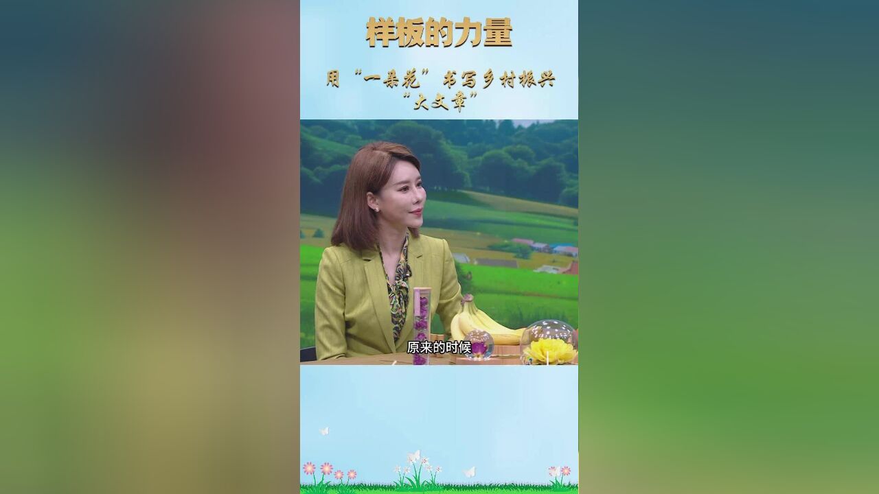 样板的力量|用“一朵花”书写乡村振兴“大文章”